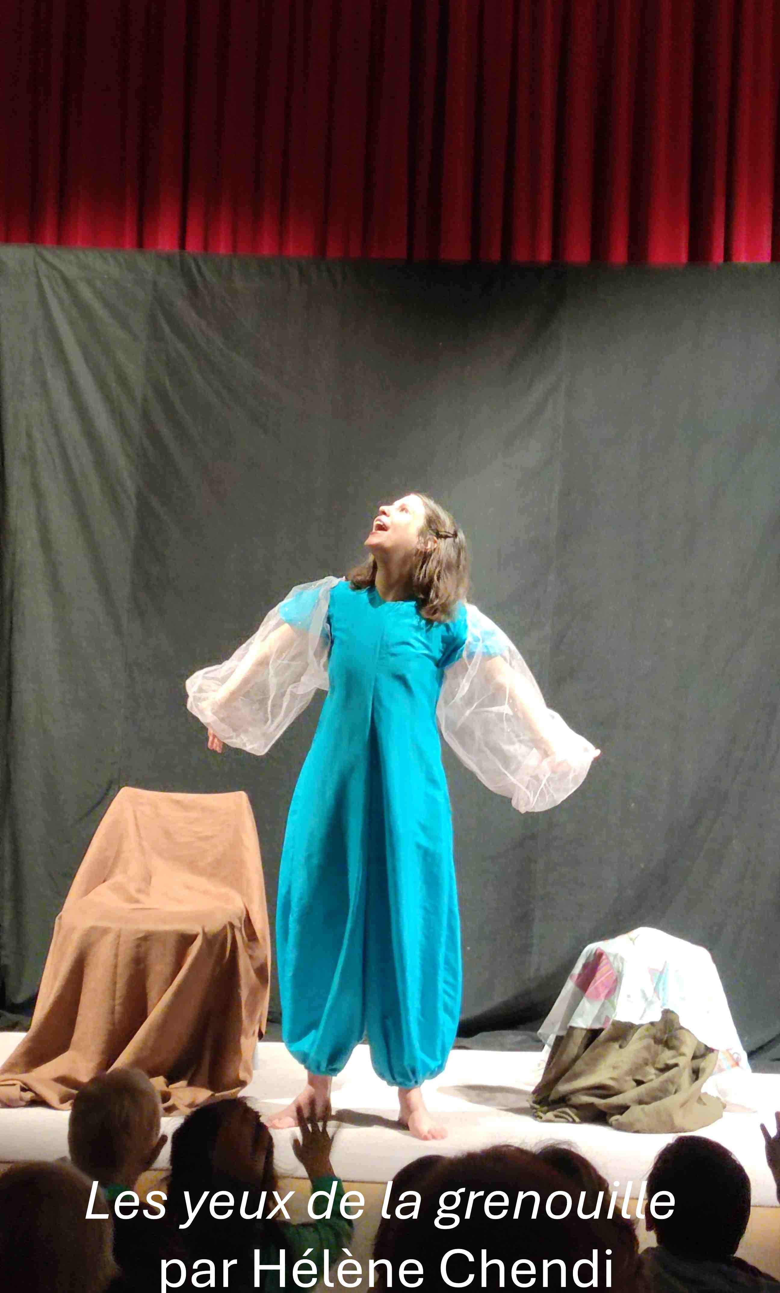 Spectacle Les yeux de la grenouille par Helene Chendi.jpg